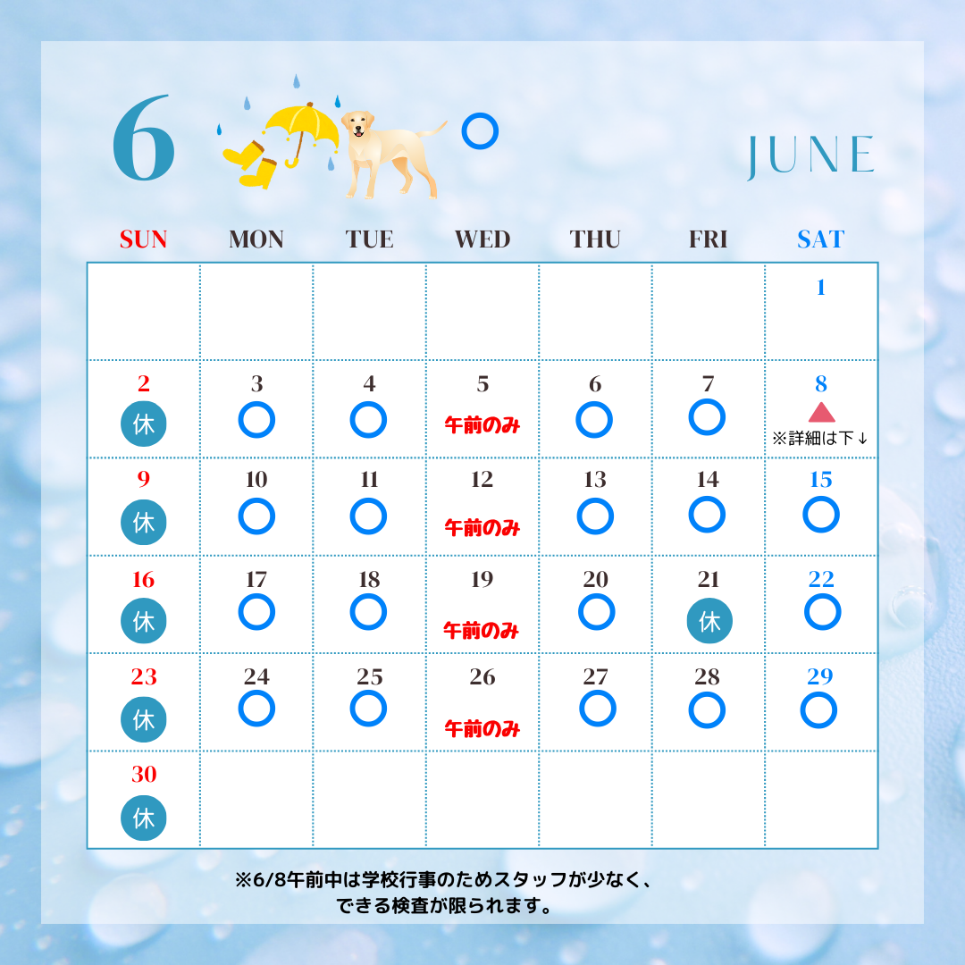 24年6月の休診のお知らせカレンダー