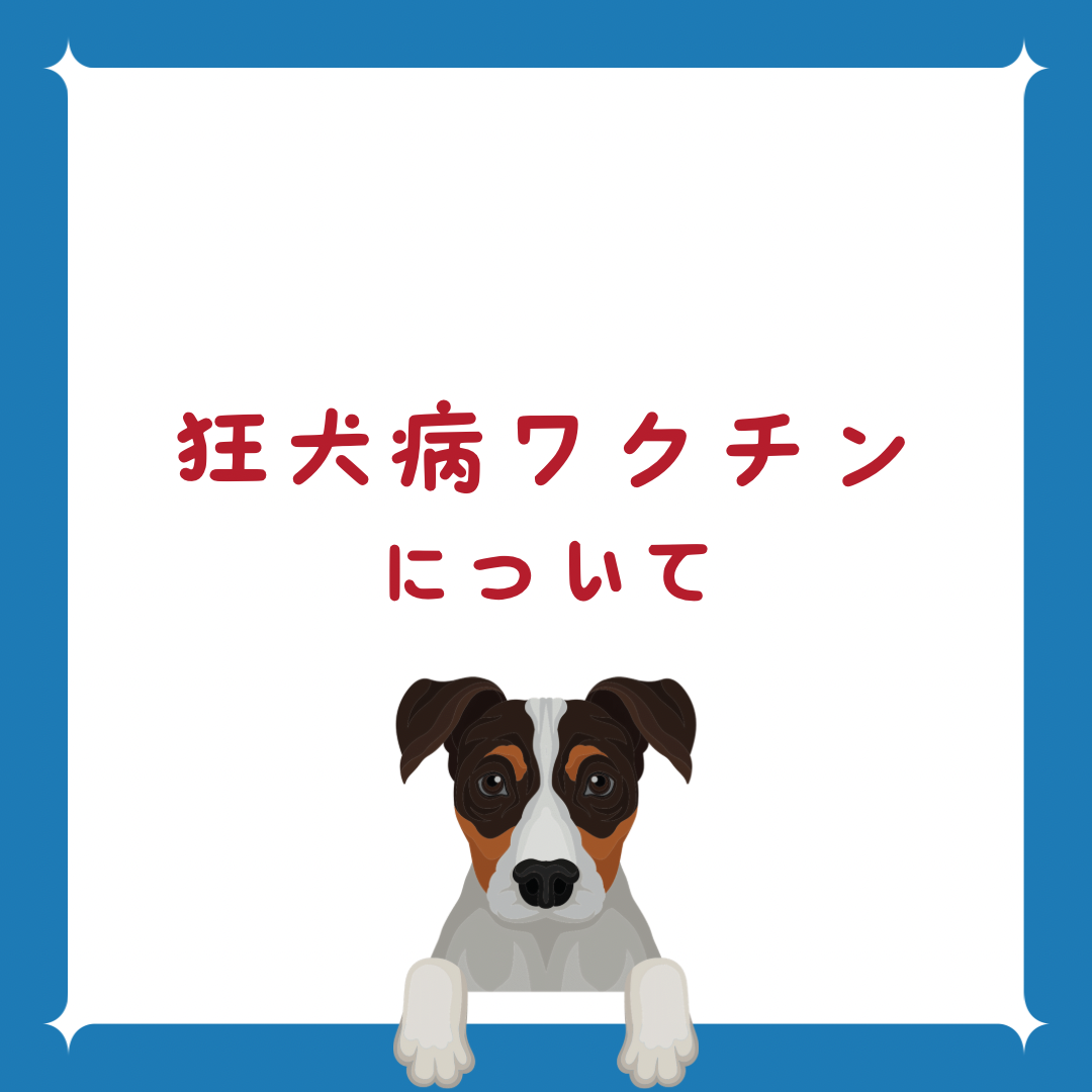 狂犬病ワクチンについて