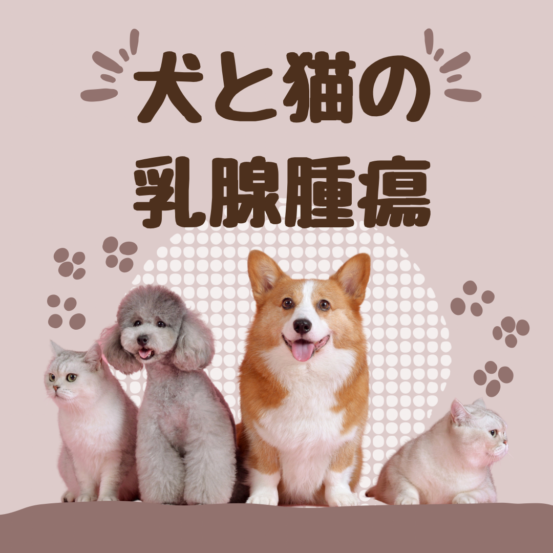 犬と猫の乳腺腫瘍のコラムのサムネイル