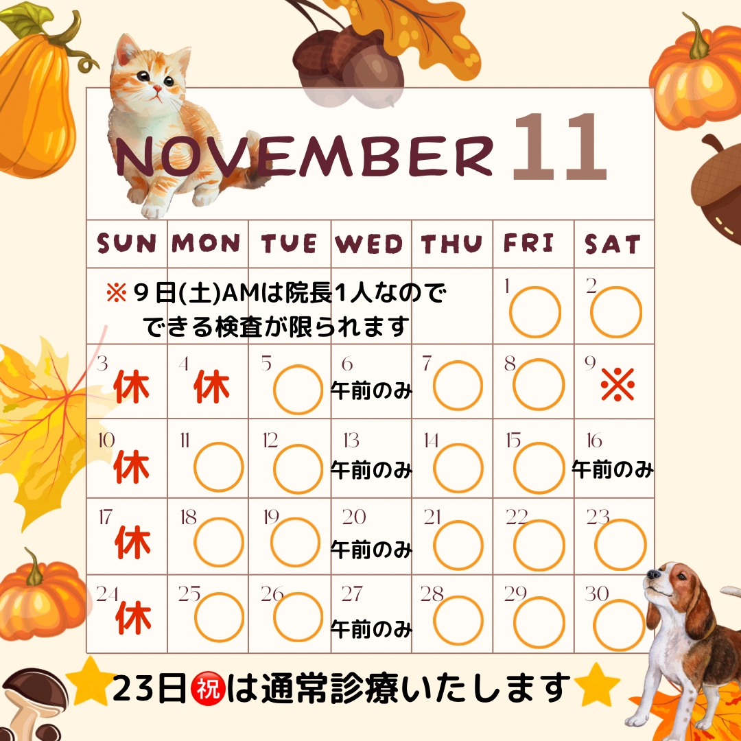 11月の休診日のお知らせのカレンダー