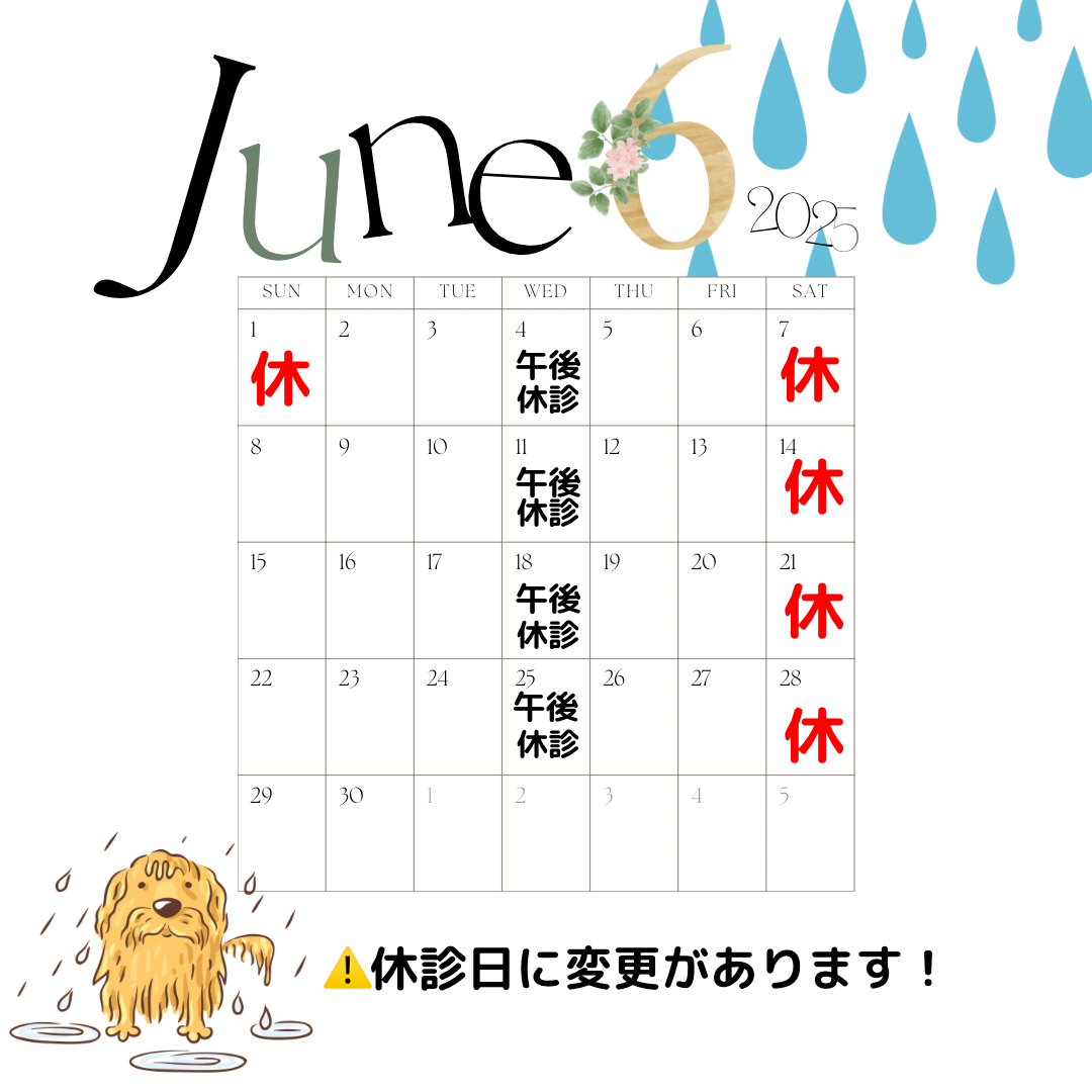 25年6月の休診日のお知らせのカレンダー