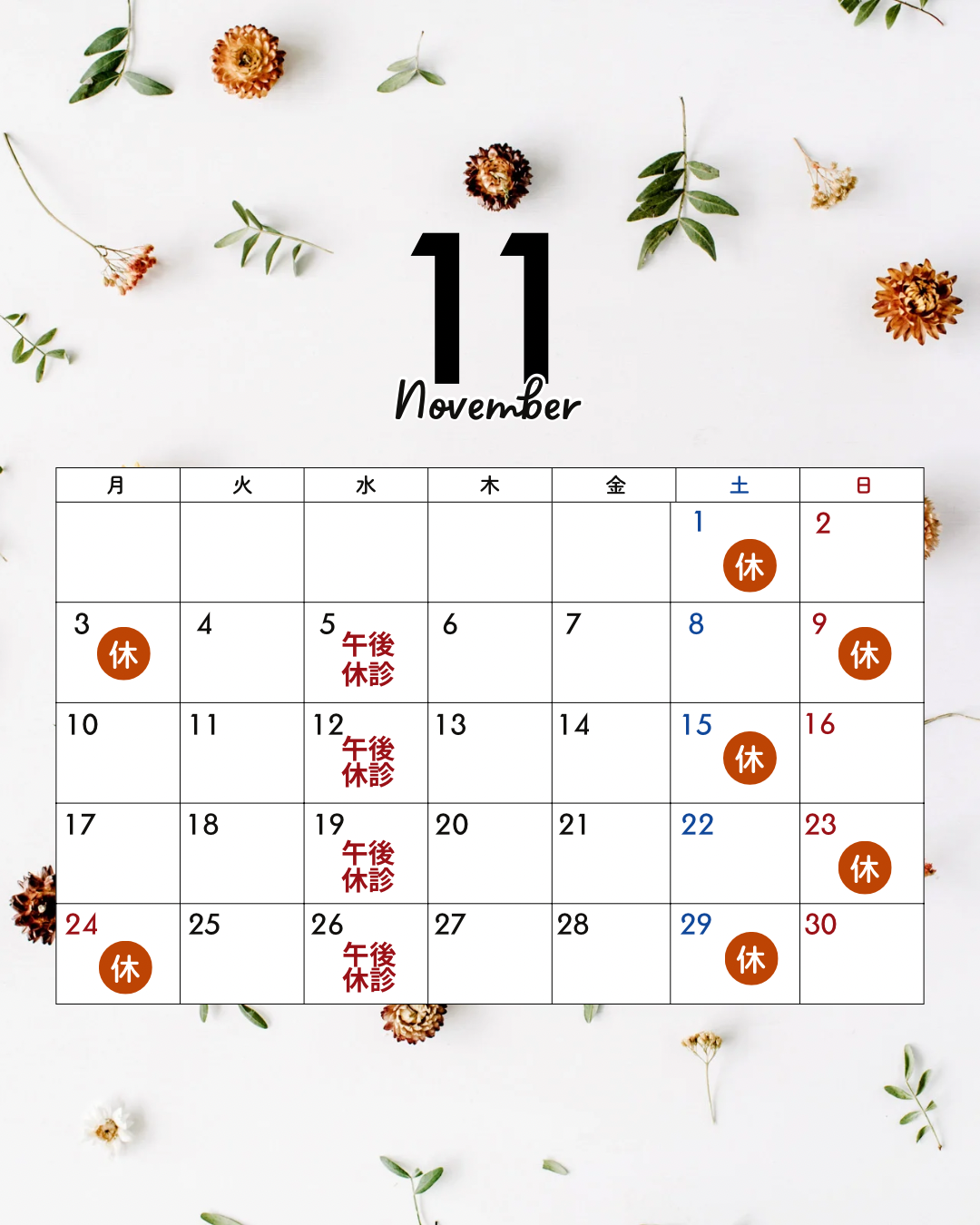 25年11月の休診日のお知らせのカレンダー